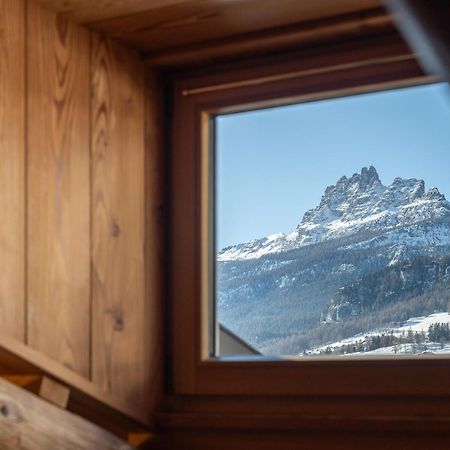 Cortina Lodge 科尔蒂纳丹佩佐 外观 照片